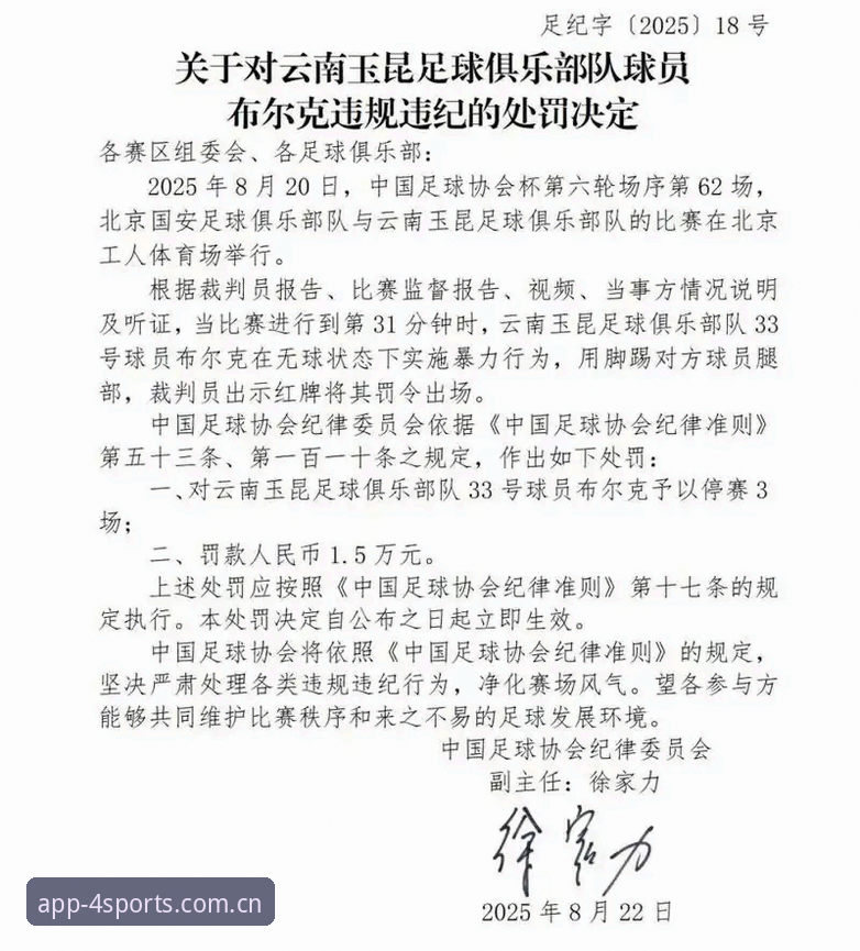 四季体育互动平台官方下载 17人终身禁足与48人重罚:从足协第三批名单看中国足球治理的3重信号